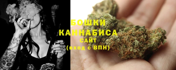 дурь Богданович