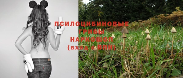ГАЛЛЮЦИНОГЕННЫЕ ГРИБЫ Бугульма