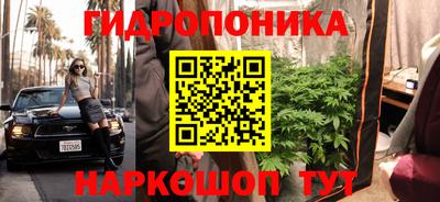 Альфа ПВП Новозыбков
