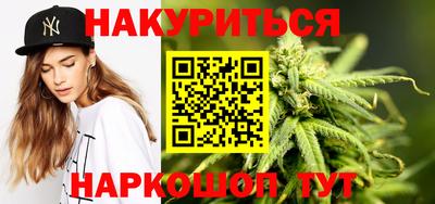 Альфа ПВП Новозыбков