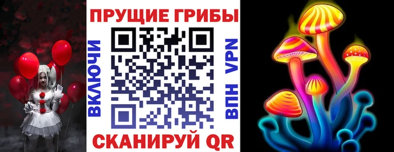 omg   Свободный  Галлюциногенные грибы Psilocybine cubensis 
